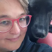 Dieren geweigerd in opvang Oekrainers
