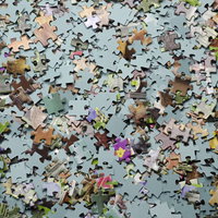 Margriet is fanatiek puzzelaar en doet mee aan het NK Speedpuzzelen