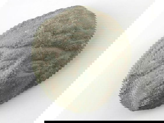 Archeoloog Freerk is in Denemarken plotseling wereldnieuws