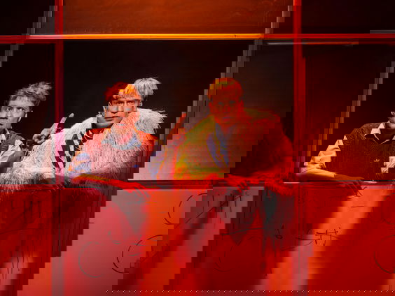 Reinier van Harten over de voorstelling 'Metgezwel'