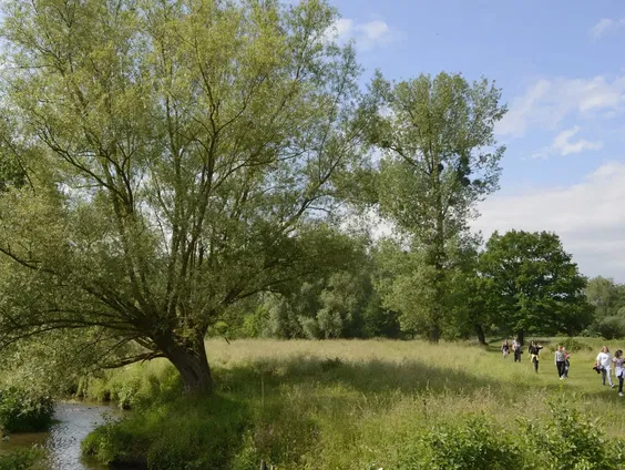 Het Geuldal verveelt geen moment