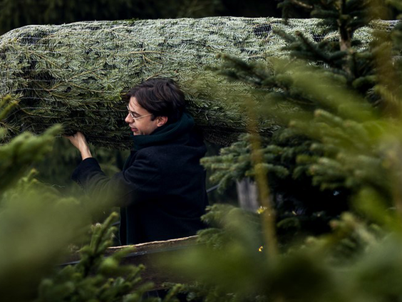 Staat de kerstboom ieder jaar steeds eerder?