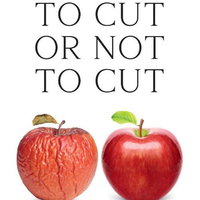 Patrick Tonnard over zijn boek 'To Cut Or Not To Cut'
