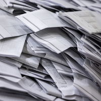 Charlotte Nijs over de uitslagen van de gemeenteraadsverkiezingen