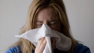 Hoe ga je de pollenpiek te lijf?