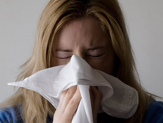 Hoe ga je de pollenpiek te lijf?