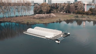 Eerste groente van drijvend (w)eiland