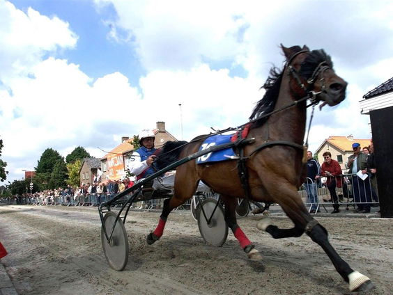 Rogier den Dekker is al 32 jaar de stem van de kortebaandraverij.