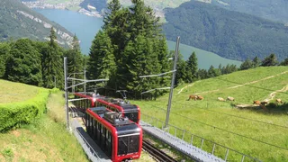 Einde van Rail Away raakt liefhebbers: Erik de Zwart pleit voor behoud icon ...