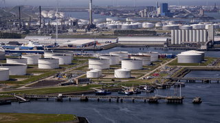 Dag 27: Fossielen zoeken op De Maasvlakte
