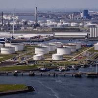 Dag 27: Fossielen zoeken op De Maasvlakte