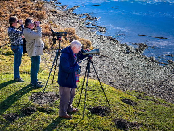 De Nationale Vogelweek staat weer voor de deur