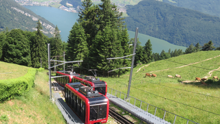 Rail Away laat treinen zien, maar gaat over het leven. 'Heerlijke slow-tv!'