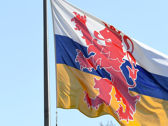 De Limburgeringscursus van Roel Willems