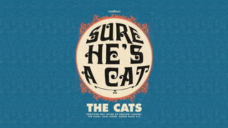 Sure He's A Cat: Tim Knol eert Volendamse legendes met nieuw album en tour
