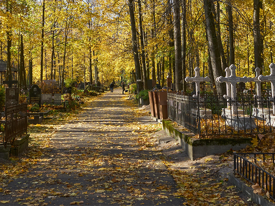 Niet cremeren of begraven, maar veraarden
