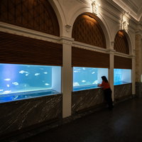 Uniek Artis-aquarium gaat weer open
