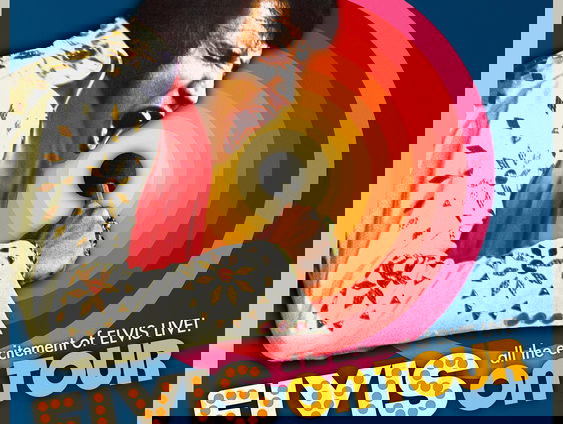 Elvis Encyclopedie: For The Good Times