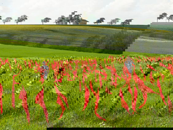 Jean-Paul plaatst 15.000 vlaggen voor vrede met Flags for Peace
