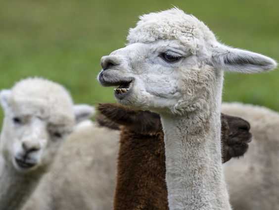 Henk reist vrijdag voor NLdoet af naar Rijswijk