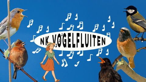 Wie fluit daar zo mooi? Menno Bentveld over het NK Vogelfluiten 2025