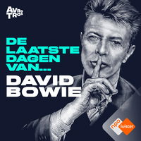 Het mysterie achter het leven van David Bowie