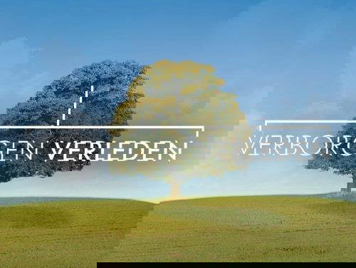 Hoe onderzoek je zelf je familiegeschiedenis?