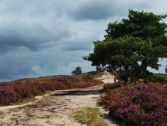 Wil je genieten van de stilte?