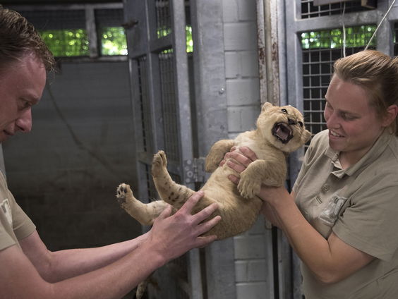 Dierentuinen moeten flink veranderen
