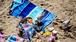 Van Helder tot Den Briel: Dag 8: Een strandvonder in Camperduinen