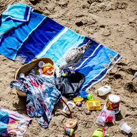 Van Helder tot Den Briel: Dag 8: Een strandvonder in Camperduinen