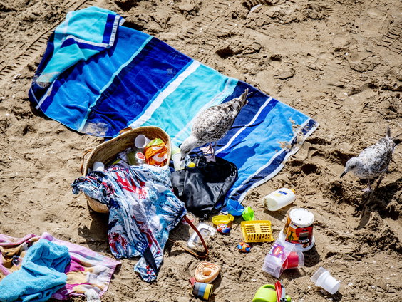 Van Helder tot Den Briel: Dag 8: Een strandvonder in Camperduinen