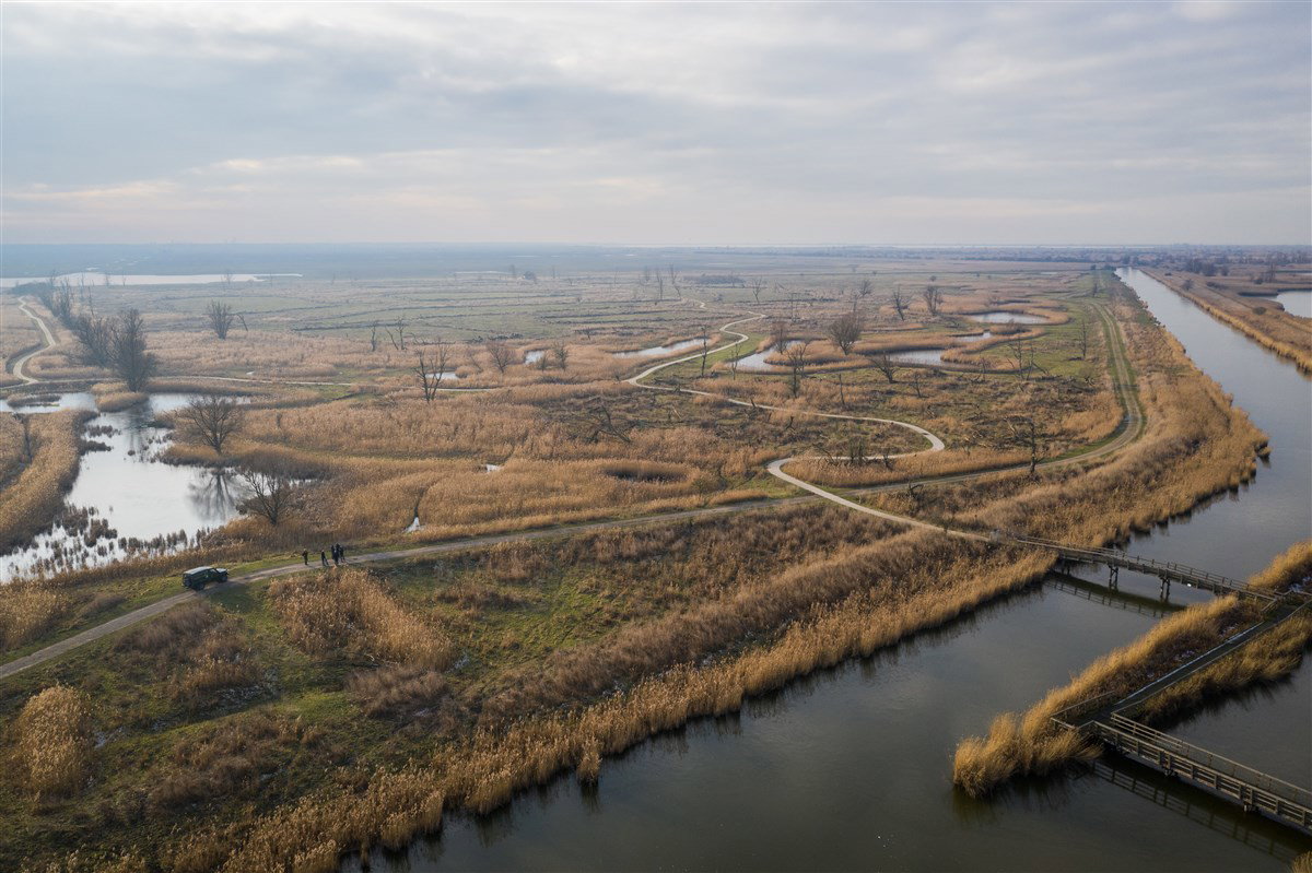 Nieuw, uniek vogelonderzoek in Oostvaardersplassen met ultragevoelige microfoons