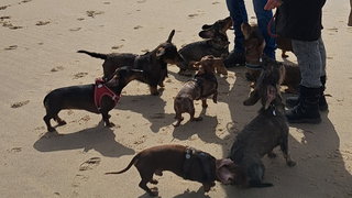 Van Den Helder tot Den Briel: Dag 2 Huisduinen