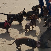 Van Den Helder tot Den Briel: Dag 2 Huisduinen