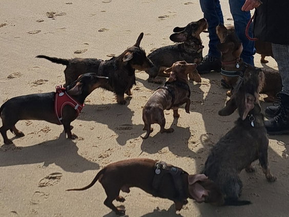 Van Den Helder tot Den Briel: Dag 2 Huisduinen