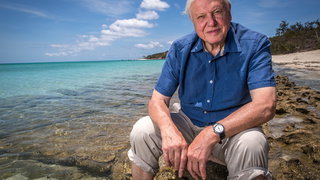 Menno Bentveld over 100 jaar David Attenborough: "De ultieme stem van de wi ...