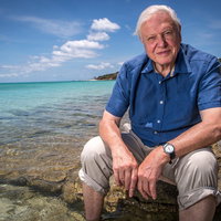 Menno Bentveld over 100 jaar David Attenborough: "De ultieme stem van de wi ...