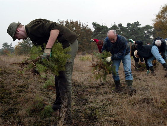 Help mee tijdens de Nationale Natuurwerkdagen op 1 en 2 november