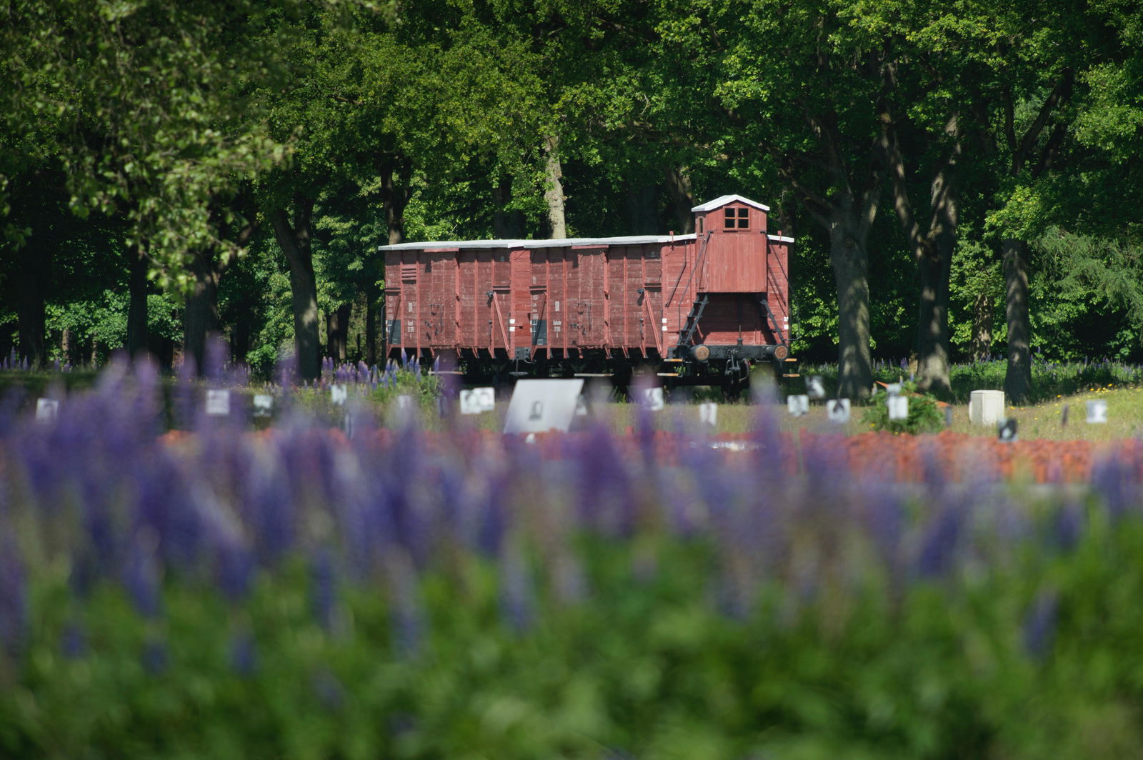 Speciale Anne Frankmaand in Kamp Westerbork