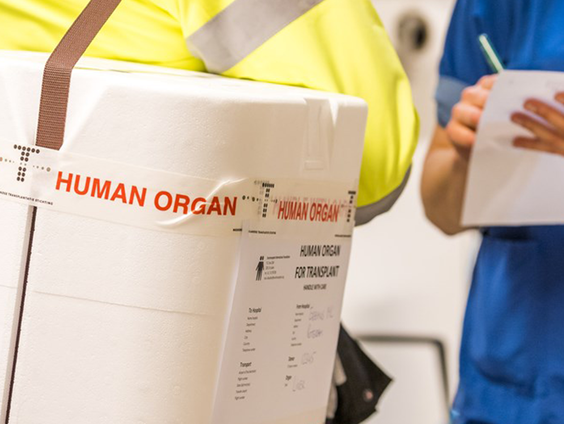 Jeroen gaf zijn nier aan René