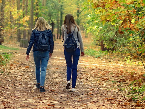 De herfst is het beste seizoen voor een natuurwandeling