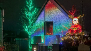 Kerstverlichting verstoort vogels