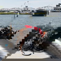 Honden zoeken naar vermisten in het water