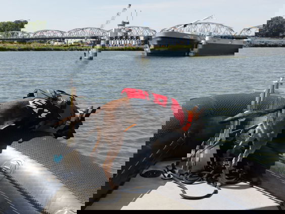 Honden zoeken naar vermisten in het water