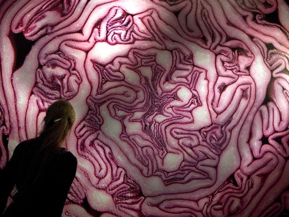 Koken met Sandra: Kool moet je masseren!