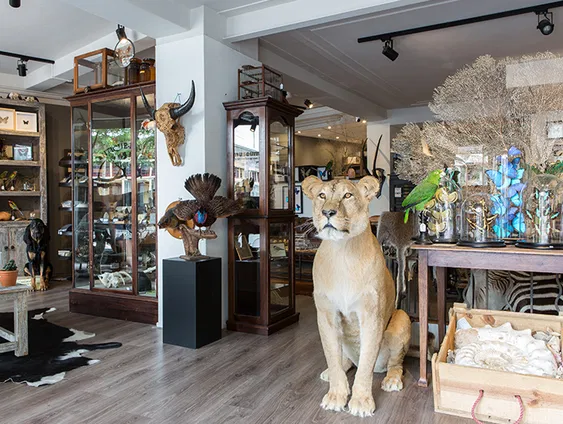 Rick Way organiseert een demodag vogels opzetten