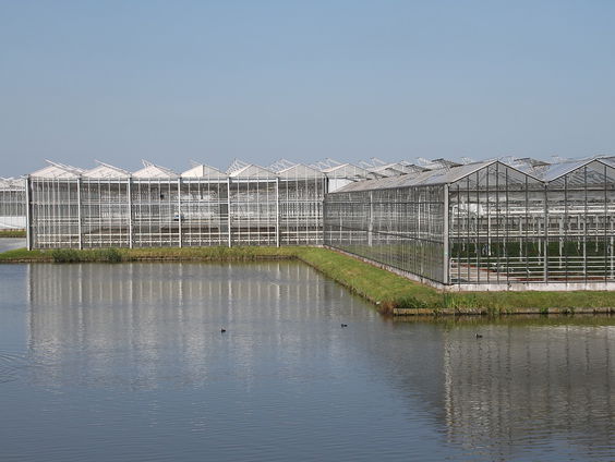 Wereldberoemde Venlokas is nu erfgoed