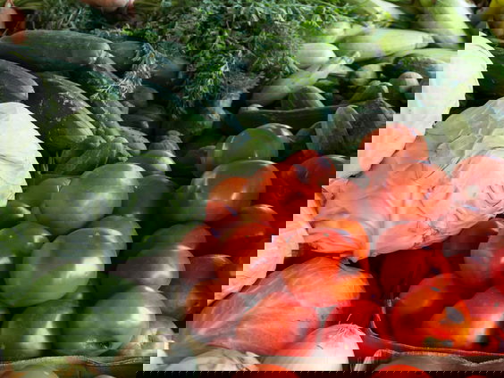 Lana de Bruijn over de verloren Nederlandse groentes