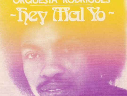 De verhalen van Jan Paparazzi: Hey Mal Yo